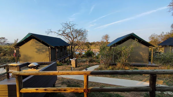 Nkuhlu Tented Camp : des débuts difficiles à un séjour inoubliable